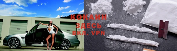 трава Белокуриха