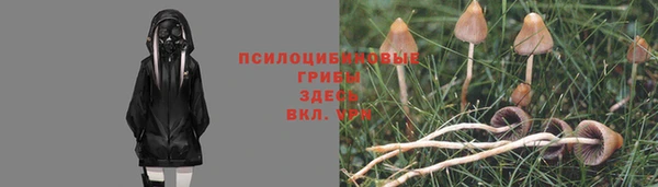 молекула духа Белоозёрский