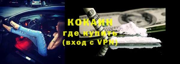 молекула духа Белоозёрский