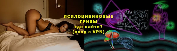 spice Беломорск