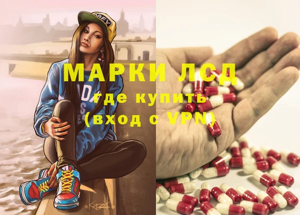 spice Беломорск