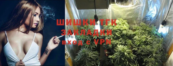 трава Белокуриха